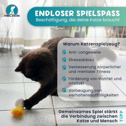 Nelade Katzenspielzeug 05 2000x2000