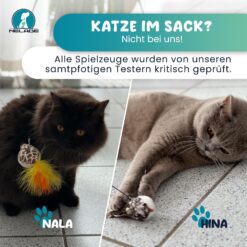 Nelade Katzenspielzeug 06 2000x2000
