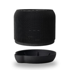 Canna Bonsai 02 2000x2000.jpg