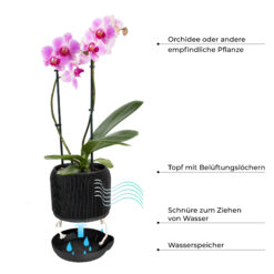 Natumo Bonsai Topf 04 2000x2000.jpg