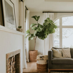 Home